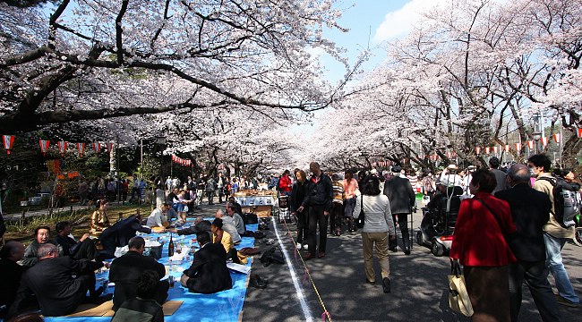 destinasi-liburan-jepang