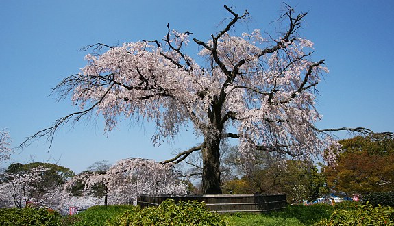 destinasi-liburan-jepang